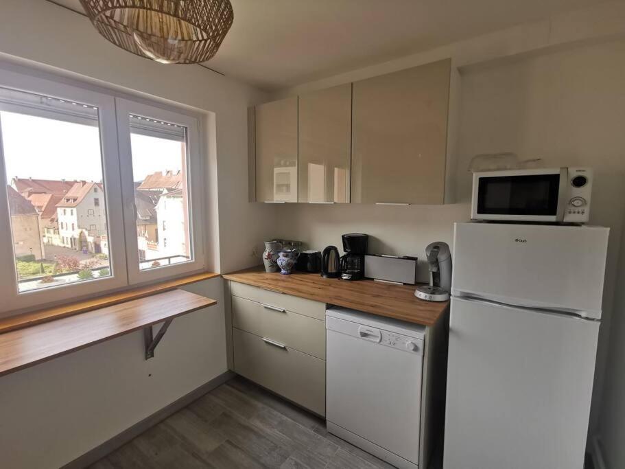Logement Colmar Centre Avec Parking ภายนอก รูปภาพ
